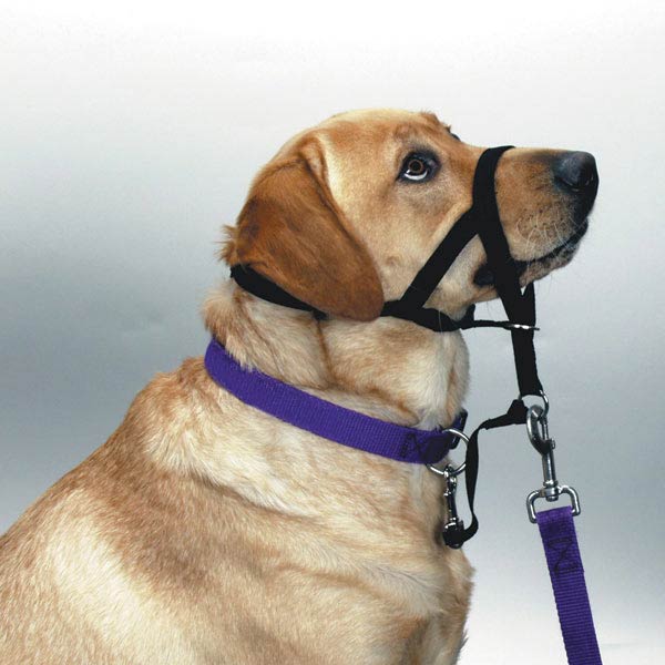 Halti Headcollars Nossele