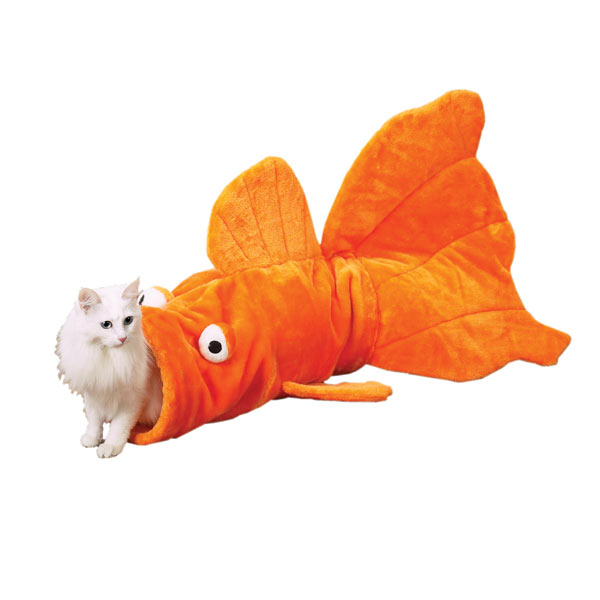 Kattbäddar