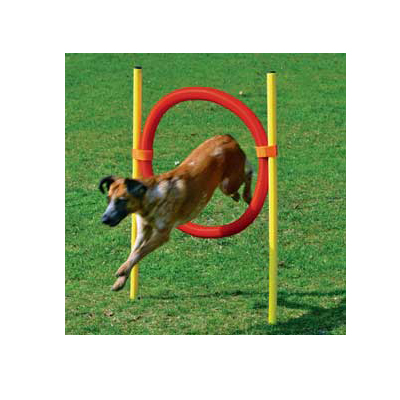 Agility