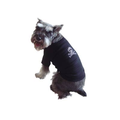 T-shirt Strass