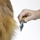 Master Grooming Antistat Kam, Medium med Handtag - bild 2