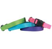 GG Ställbara Halsband Brite (4 stl)