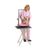 Masters Roterande Trimbord, Rosa