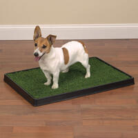 Petsters Clean Go Pet Indoor Dog Potty