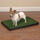 Petsters Clean Go Pet Indoor Dog Potty - bild 1