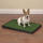 Petsters Clean Go Pet Indoor Dog Potty - bild 9