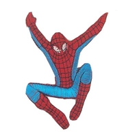 ÖVRIGT - Styla dina egna kläder - Märke Spiderman