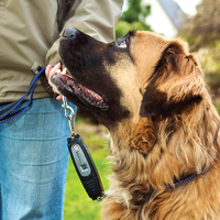 HUND - Hjälpmedel - Avvisning "nej inte så" - DOG-e-Walk Premium