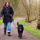 DOG-e-Walk Premium - bild 6