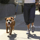 DOG-e-Walk Premium - bild 7