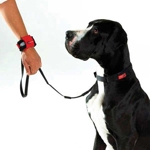 Pet Hands-Free Dog Leashes
