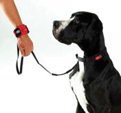 Pet Hands-Free Dog Leashes