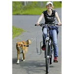 Springer till Cykel
