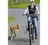 Springer till Cykel