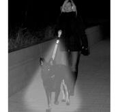 PatentoPet DOG-e-Lite Flashlight and Leash