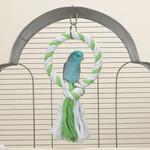Brainy Bird Rep Leksak Big Wheel