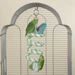 Brainy Bird Rep Leksak Super Spiral