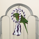 Brainy Bird Rep Leksak Top Spin, Lila