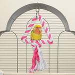 Brainy Bird Rep Leksak Tri-Swinger, Rosa