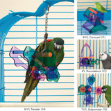 Brainy Bird Teaser Traveler