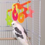 Brainy Bird Whirligig Domino