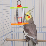 Brainy Bird Whirligig Timglas