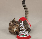 Zanies Christmas Tree Teasers Kattleksak