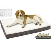 Petsters Ortho/Tempur Dyna