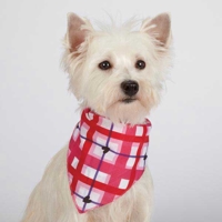 HUND - Accessoarer - Scarfs - Övriga Accessoarer - Aria Hugs N' Paisley Dog Bandanas - 2-Pack