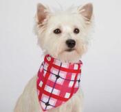 Aria Hugs N' Paisley Dog Bandanas 2-Pack