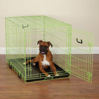 Petsters Metallburar, Lime (4 stl)