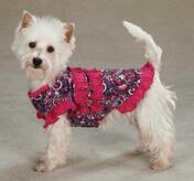 Petsters Paisley Ruffle Tanks
