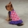 Petsters Hugs &amp; Kisses Dog Dresses - bild 1