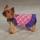 Petsters Hugs &amp; Kisses Dog Dresses - bild 3