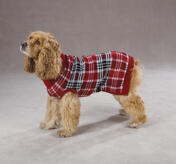 Z & Z English Plaid Sweaters, Röd