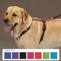 HUND - Koppel - Halsband - Selar - Selar - Nylon - Petsters Nylon Selar