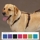 Petsters Nylon Selar - bild 1