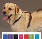 Petsters Nylon Selar