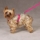 Petsters Nylon Selar - bild 4