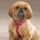 Petsters Nylon Selar - bild 3
