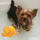 Grriggles Flytande Minis - bild 2