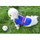 Petsters Fotball France (Längre Rygg) - bild 2