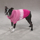 Cross Country Dog Sweaters, Rosa - bild 4