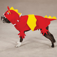 HUND - Fest - Kostymer - Halloween - Maskerad - ZZ Dragon Kostym