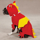 ZZ Dragon Kostym - bild 3