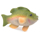 Grriggles Freshwater Fish - bild 2