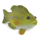 Grriggles Freshwater Fish - bild 3