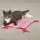 Savvy Tabby Catnip Nappers, Rosa - bild 1