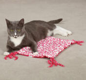 Savvy Tabby Catnip Nappers, Rosa