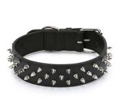 Petsters Deluxe Spiked Leather Dog Collars, Svart